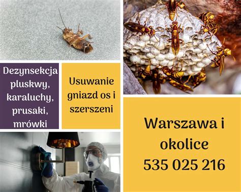 Dezynsekcja pluskwy Warszawa lipiec 2021